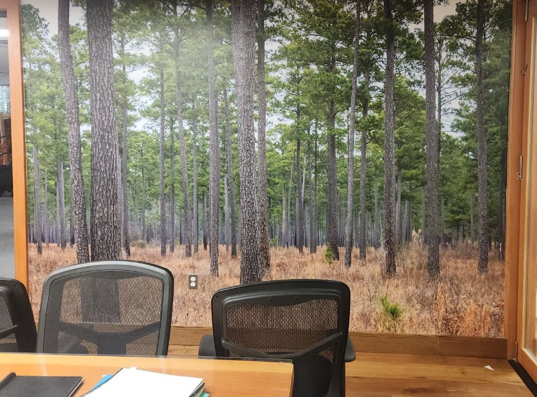 Case Study: Bringing the Forest Indoors – Custom Wall Graphics for the National Alliance of Forest Owners